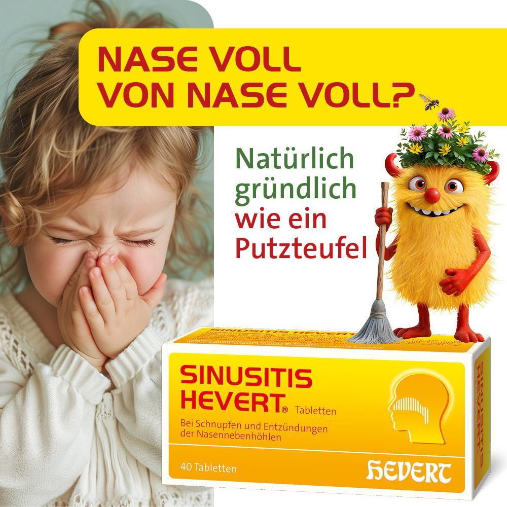 Sinusitis Hevert Tabletten 300 St