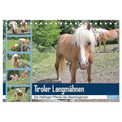 Tiroler Langmähnen (Tischkalender 2027 DIN A5 quer), CALVENDO Monatskalender