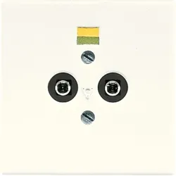 Jung Potential-Ausgl.Steckdose LS 965-2 LS965-2