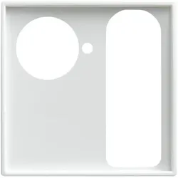 Busch-Jaeger Zentralscheibe alpinweiß Licht-Ton-Rufsysteme 1790-594-914