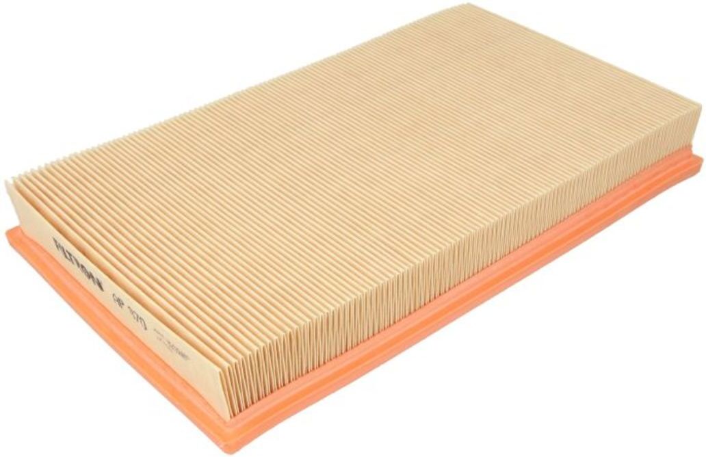 Filtron Filtro aria AP070