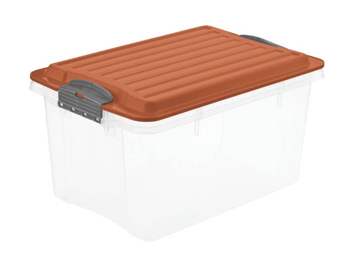 Rotho Aufbewahrungsbox inkl. Deckel Compact 27 x 18.5 x 15 cm 4.5 l