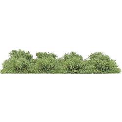 Busch 3603 Strauch Spätsommer 20 mm