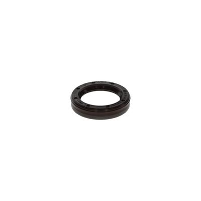 BOSCH Dichtung F 00N 202 658