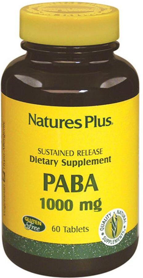 LA STREGA Srl PABA 60TAV  LA STREGA