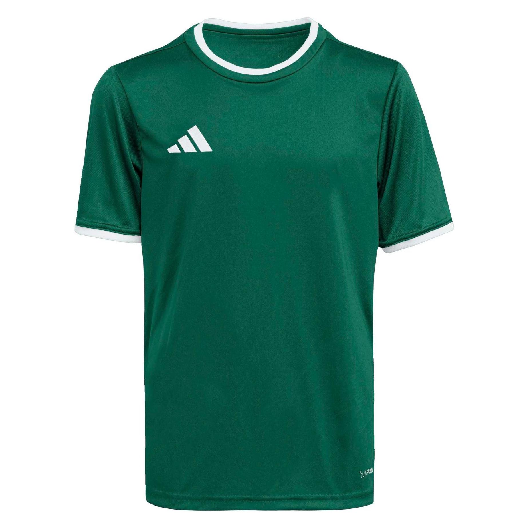 Adidas Junior Entrada T-Shirt (164) (KE9834)