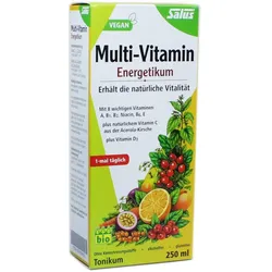 Multi-Vitamin-Energetikum Salus 250 ML