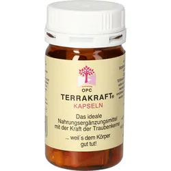 Terrakraft Kapseln 60 ST