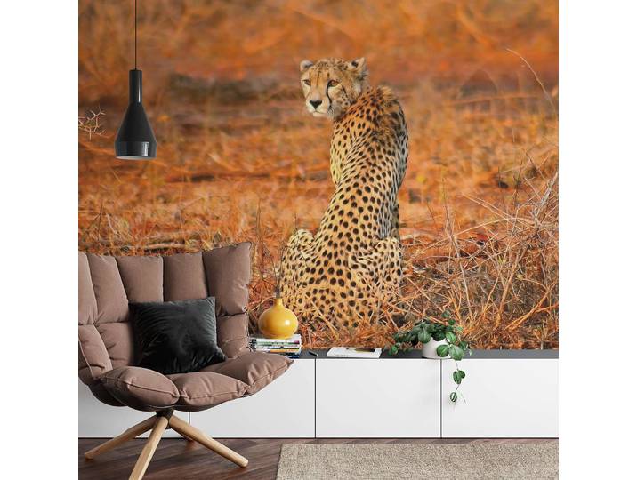 Fototapete Leopard Safari 384cm