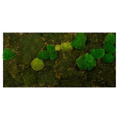 Bild mit Rahmen BÖNNINGHOFF "Moosbild "Mix Moos" 60x120 cm, weißer Rahmen", grün (farbe rahmen: weiß, farbe bild(er): grün), B:120cm H:60cm T:5,5cm, Holzwerkstoff, Bilder, handgefertigt, jedes Bild ein Unikat