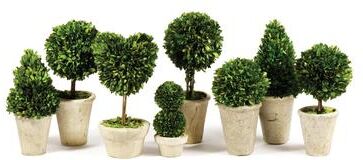 Porch & Petal Boxwood Topiaries In Pots, Set Of 8