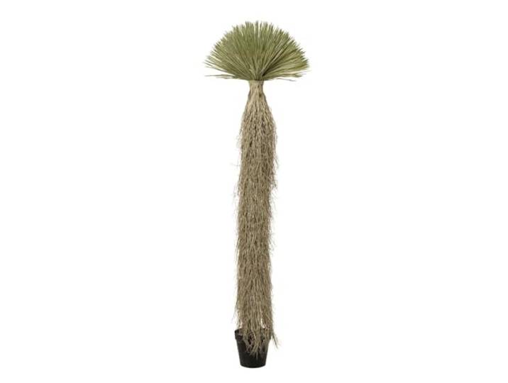 Kare Design Yucca decoratieve plant 240 cm