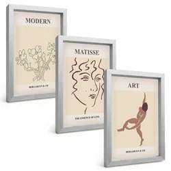 BILDER SET 3er Set - 20x30 cm Silberner Rahmen - Stilvolle Grafiken, Blumen, Figuren