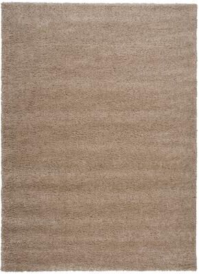 Nourison Amore Shag Area Rug