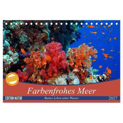 Farbenfrohes Meer (Tischkalender 2027 DIN A5 quer), CALVENDO Monatskalender