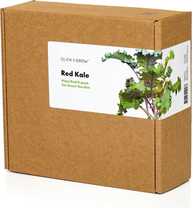 Click and Grow Rotkohl