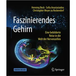Faszinierendes Gehirn, Sachbücher von Henning Beck