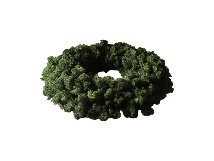 Botané Couronne de mousse Moss Wreath Green, Ø40 cm