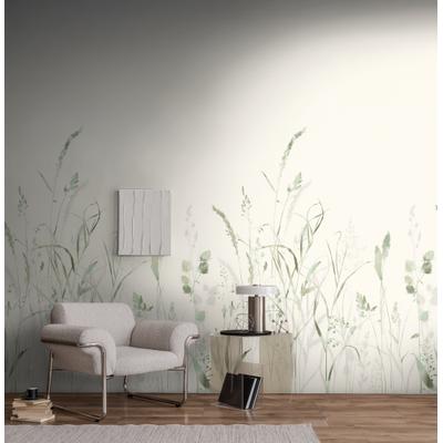 Fototapete LIVING WALLS "The Wall 4 Botanic – Filigrane Gräserwiese Vlies-Fototapete", grün, B:1,59m H:0m L:2,8m, Vinyl, Vlies, Tapeten, Filigrane Gräserwiese mit dekorativer Tiefenwirkung