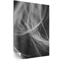 POSTER - 29x42 cm - Pixel - Verfilztes Haar