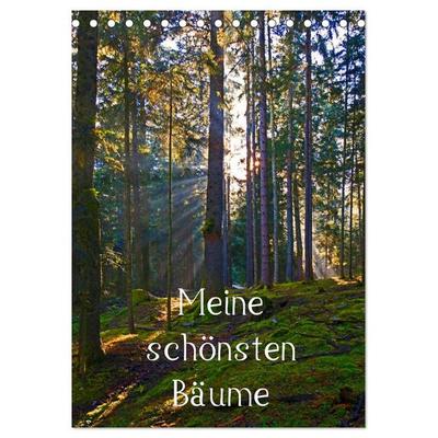 Meine schönsten Bäume (Tischkalender 2026 DIN A5 hoch), CALVENDO Monatskalender