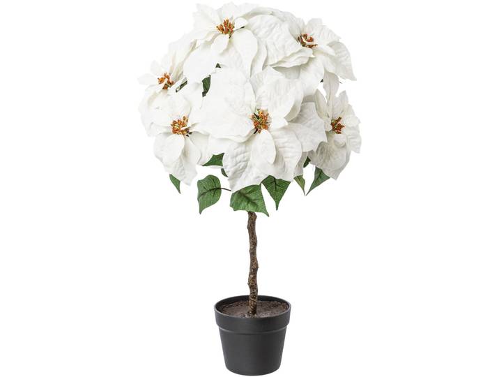 Winterliche Kunstpflanze CREATIV DECO Weihnachtsdeko , weiß, H:75cm, Kunststoff, Polyester, Kunstpflanzen, Winterliche Kunstpflanze, Samt-Ausführung