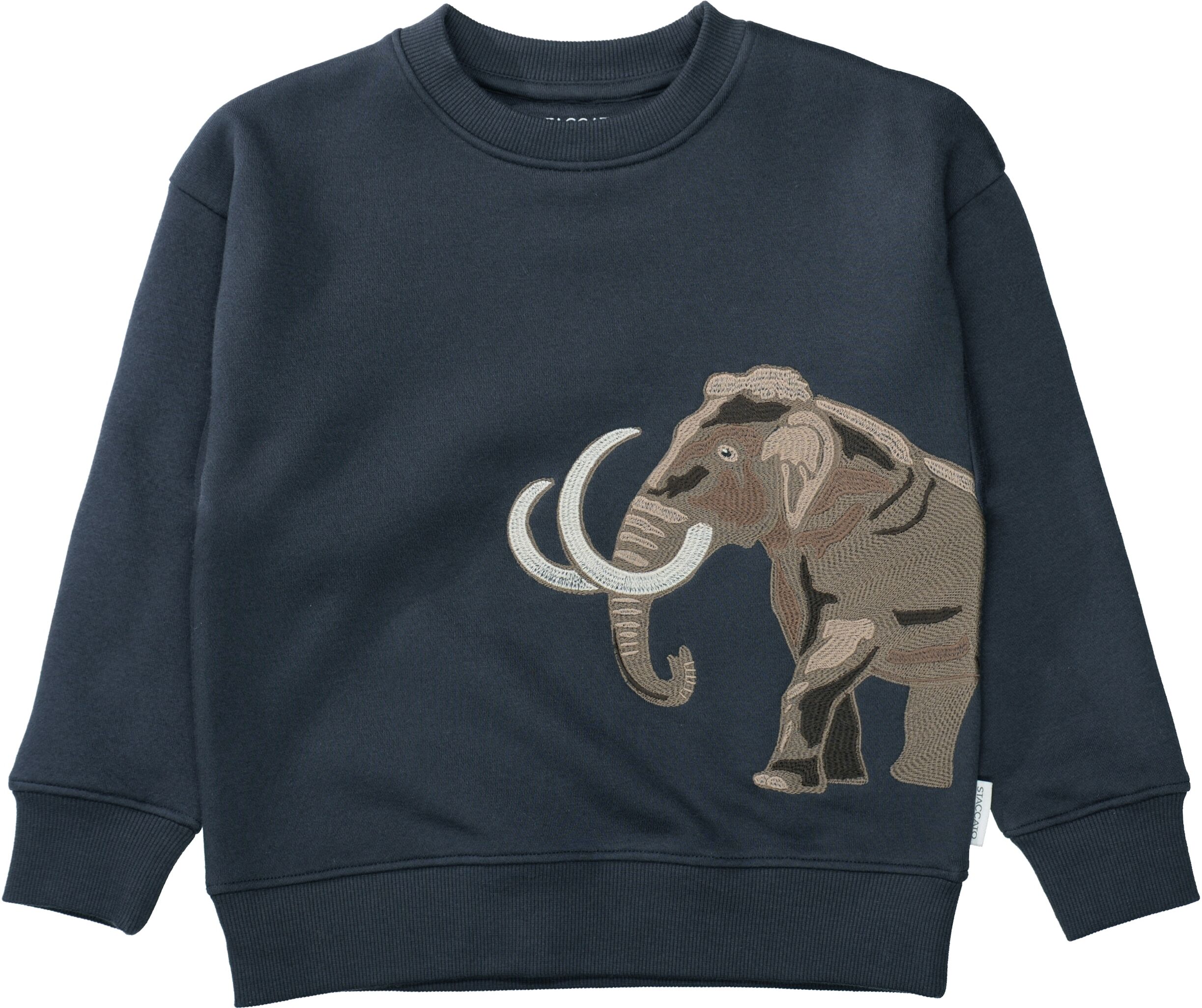 Sweatshirt STACCATO, Jungen, Gr. 92/98, stone, Obermaterial: 60% Baumwolle, 40% Polyester., Sweatshirts Sweatshirt, Sweatshirt