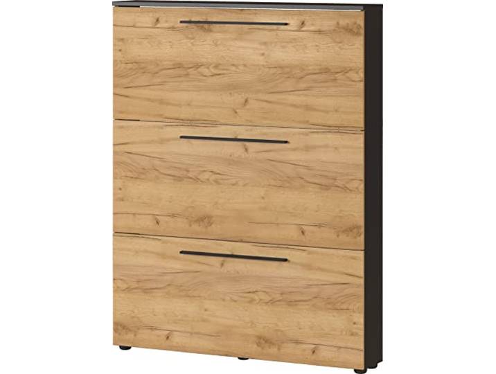 Germania Schuhschrank 3884-549 GW-Wildomar, in Graphit/Navarra-Eiche-Nb., Platz für bis zu 12 Paar Schuhe, geringe Tiefe - ideal für schmale Flure, 100 x 129 x 19 cm (BxHxT)
