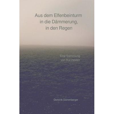 Aus dem Elfenbeinturm in die Dämmerung, in den Regen, Taschenbuch von Dominik Dürrenberger, Epubli, 978-3-7450-2174-5