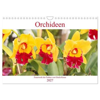 Orchideen Feuerwerk der Farben (Wandkalender 2027 DIN A4 quer), CALVENDO Monatskalender