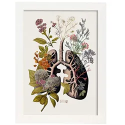 POSTER Anatomie Bronchien A3 Weißer Rahmen