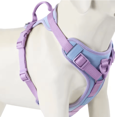 Inspire Picks ChocoLuxe Personalized No Pull Dog Harness For Small & Large Dogs cc Blue l