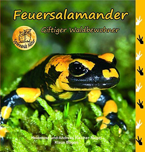 Heiderose Fischer-Nagel - Feuersalamander: Giftiger Waldbewohneer - Preis vom 06.10.2026 07:26:00 h