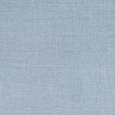 Specter Sky Fabric by the Yard - Ballard Designs