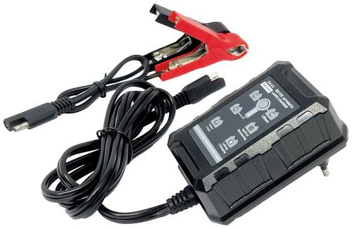 BAAS BA150 BA150 Automatikladegerät 6 V, 12V