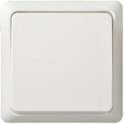 ELSO Taster rw 512104