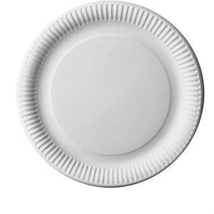 Papstar Einwegteller 11740 pure, Pappe, weiß, Ø 29cm, 50 Stück