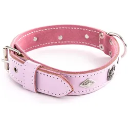 Martin Sellier Bdg (31, Hund, Allgemein, Spazieren), Halsband + Leine