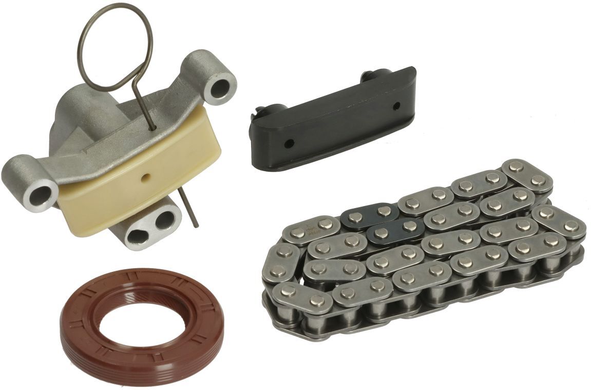 Ventilsteuerung Satz (Kette + Elemente) HERTH+BUSS ELPARTS J1198011