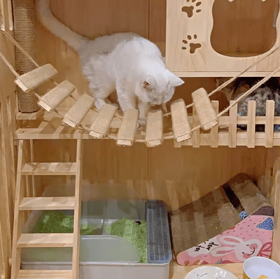 Uplift Curations Wall Mounted Cat Bridge And Climbing Ladder With Sisal Scratcher For Indoor Cats 39.4in Full Sisal Type