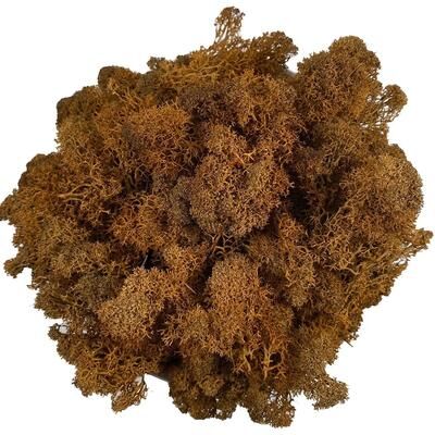 Inspire Select Artificial Reindeer Moss Decor Faux Green Moss For Crafts, Potted Plants & Wall Art brown 0.7 Oz