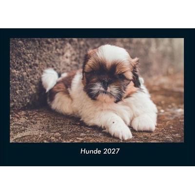 Hunde 2027 Fotokalender DIN A4