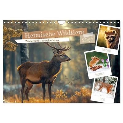 Heimische Wildtiere - Das Vermächtnis der Natur (Wandkalender 2027 DIN A4 quer), CALVENDO Monatskalender
