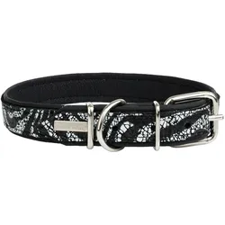 Barry King Obroża dla psa, EQUILIBRE, 25mm /55cm (Hund), Halsband + Leine
