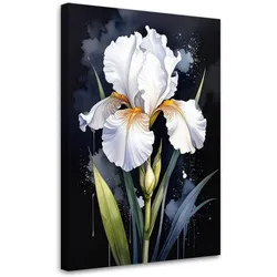 BILD auf Leinwand, Weiße Schwertlilien Blumen Pflanzen Natur