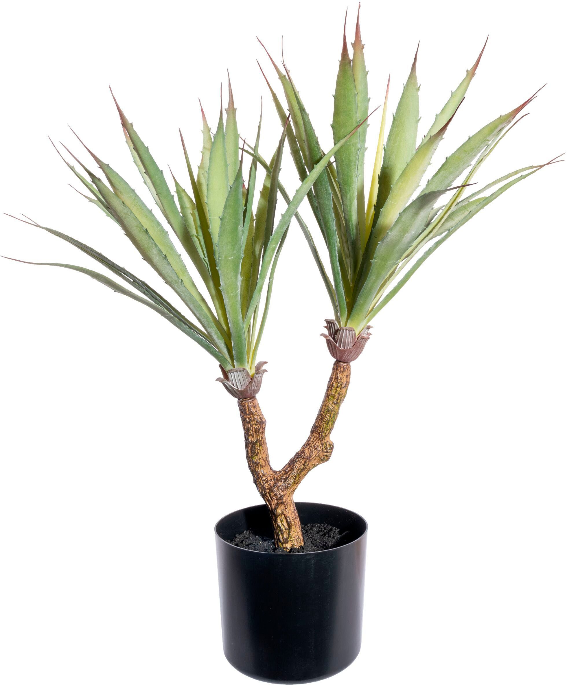 Künstliche Zimmerpflanze CREATIV GREEN "Agave", grün, H:60cm Ø:26cm, Kunststoff, Kunstpflanzen, Künstliche Zimmerpflanze