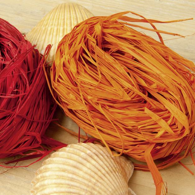 Prima Flora Bast rot 20 g