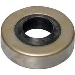 Champion Saftpresse Dichtung 1cm