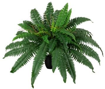 Nearly Natural 24-in Artificial Self-Shaped Boston Fern Plant in Black Planter