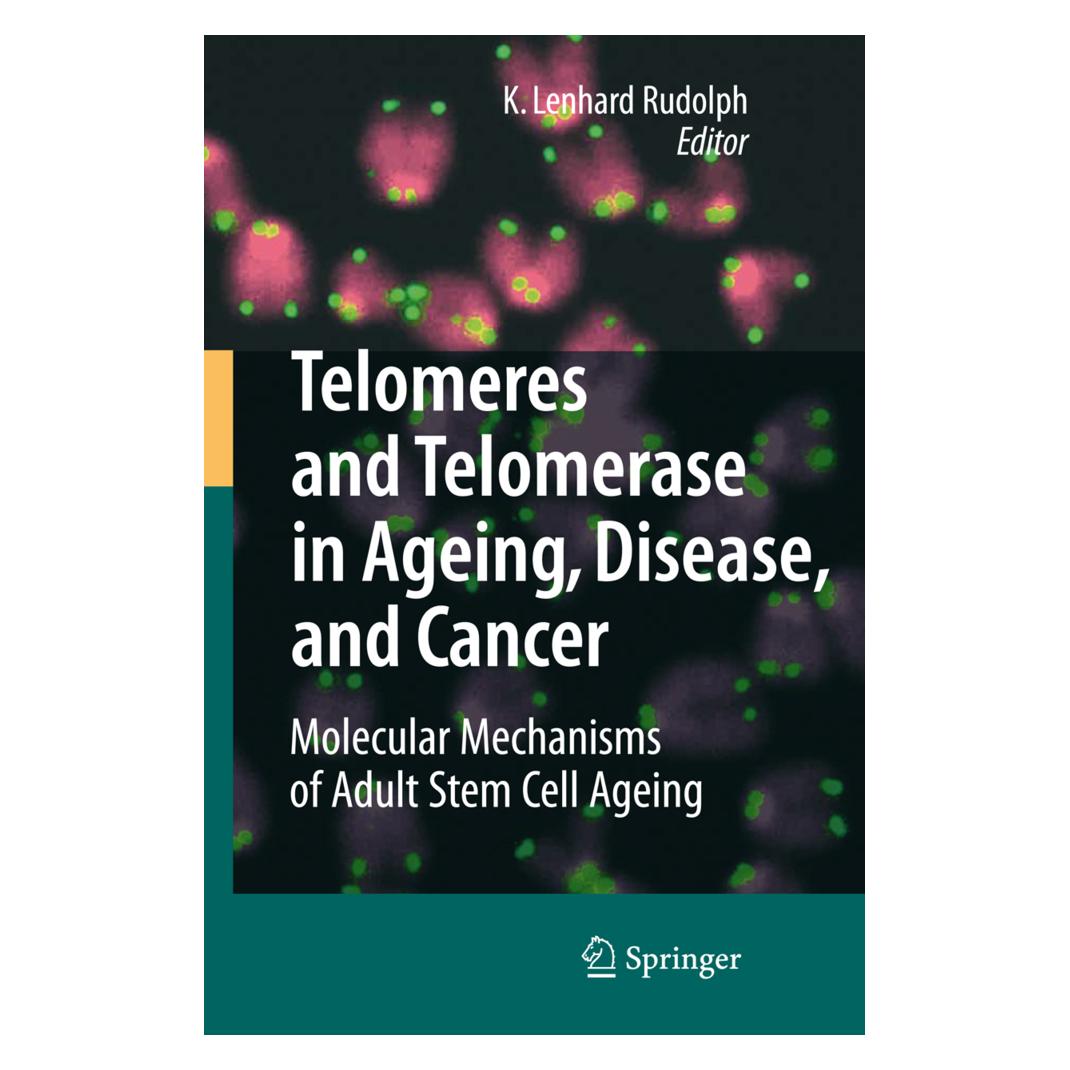 Springer Telomeres and Telomerase in Aging, Disease, and Cancer (Englisch, Softcover, K. Lenhard Rudolph) (55373311)
